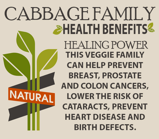 Cabbage Family healing powers