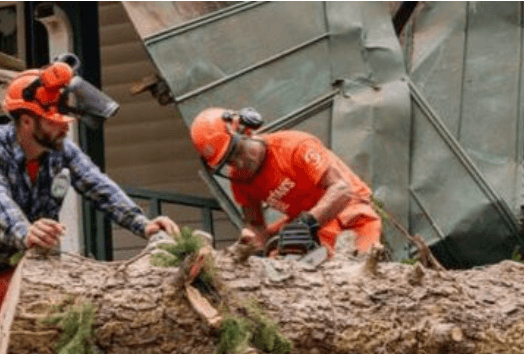 Healing After Hurricane Helene: Emotional Resilience