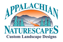 Appalachian Naturescapes