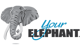 Your Elephant